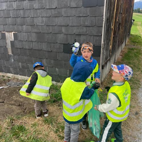 Tirol Klaubt auf - Die Mäusegruppe auch