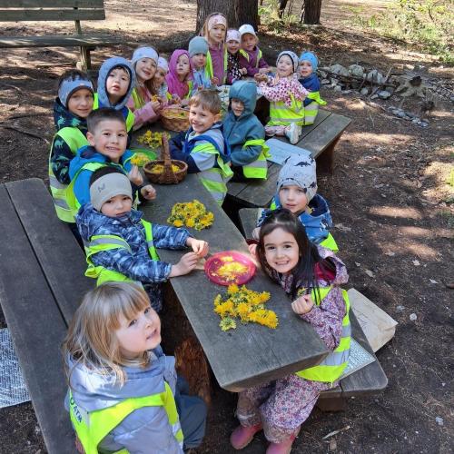 Kinder im Wald