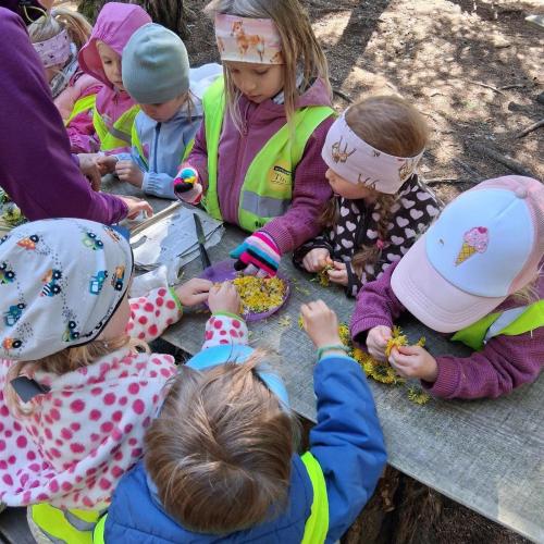 Kinder im Wald