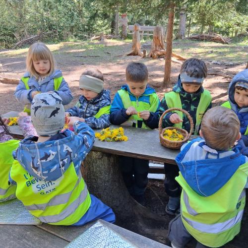 Kinder im Wald