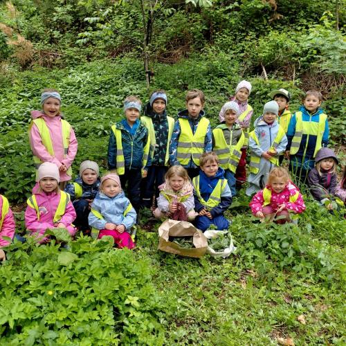Kinder im Wald