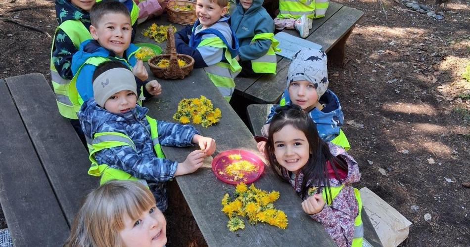 Kinder im Wald